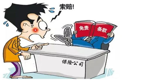 保险赔付：如何提高赔付率