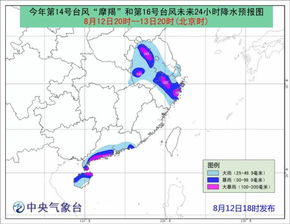 台风摩羯致海口文昌经济损失近600亿，挑战与复兴之路