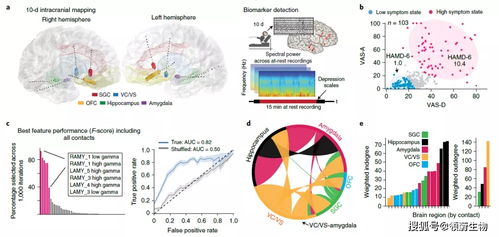 研究，抑郁症患者脑部突显网络较大的影响