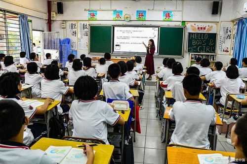 教育局回应老师让小学生深蹲数百下，尊重与责任并重，维护学生权益