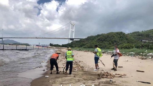 威海多地出现恶臭味，官方回应原因不明