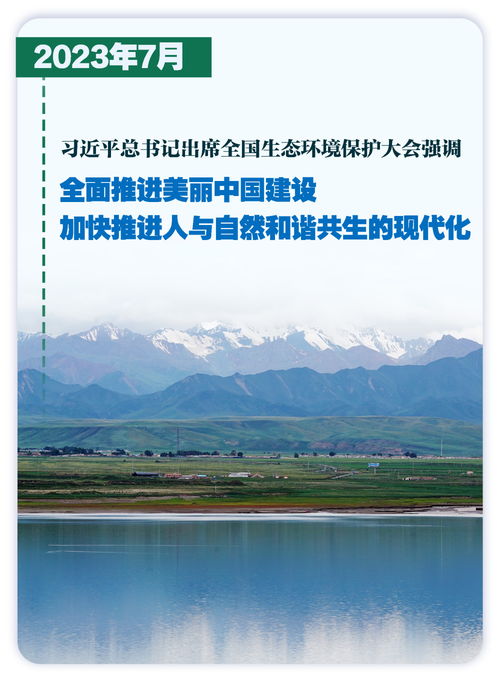 时习之引领下的绿色蝶变——一片盐碱地的生态转型