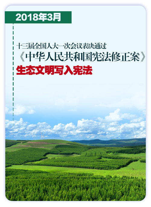 时习之引领下的绿色蝶变——一片盐碱地的生态转型