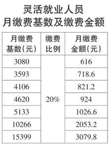 职工养老保险缴费比例，权益与责任的平衡之道