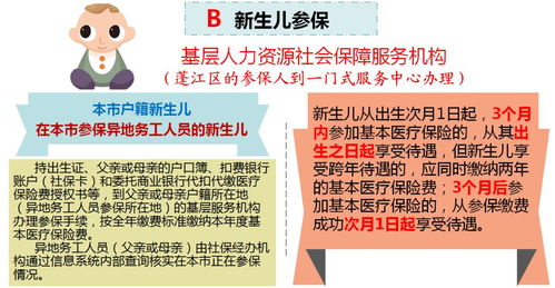 生育险报销标准详解与实务指南