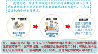 生育险报销标准详解与实务指南