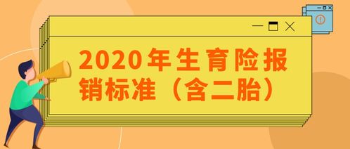 二胎生育险报销标准详解