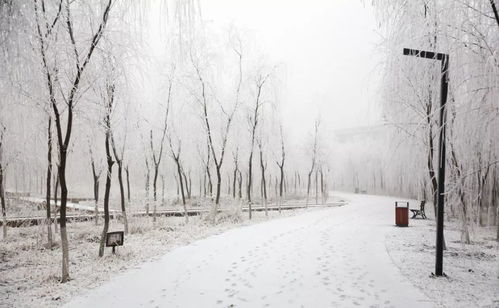 太原下雪了，初雪早至，系一九五一年来最早的一场