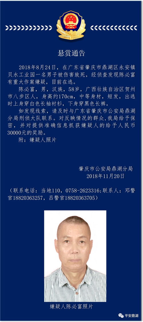 最高奖励990万！法院发布悬赏通告背后的故事