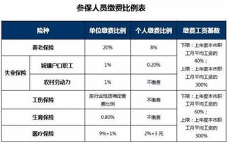 五险一金缴费比例详解与影响分析