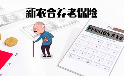 新农村养老保险制度，构建和谐社会的基石