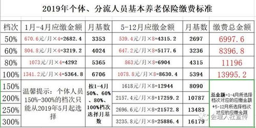 职工养老保险缴费标准解析与探讨