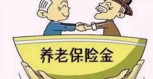 退休养老金新政策，为老年人晚年生活保驾护航