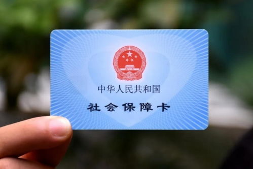 社保滞纳金怎么算，全面解析与实用指南