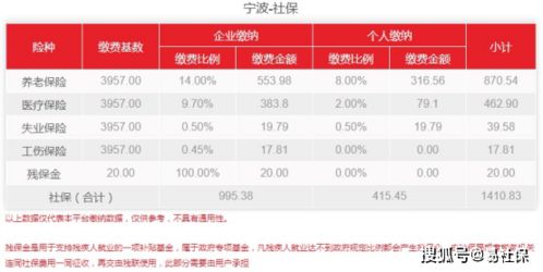 2013年社保基数调整，政策解读与影响分析