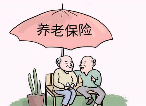 补充养老保险是什么