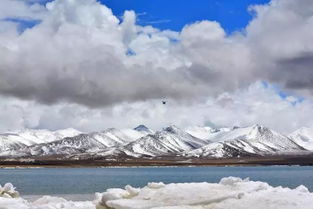 新疆一摄像头记录雪崩震撼瞬间，自然力量的壮美与敬畏