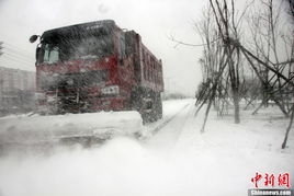 东北雪情升级，局地迎强降雪