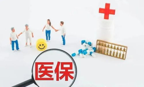 便捷高效的社保管理新途径