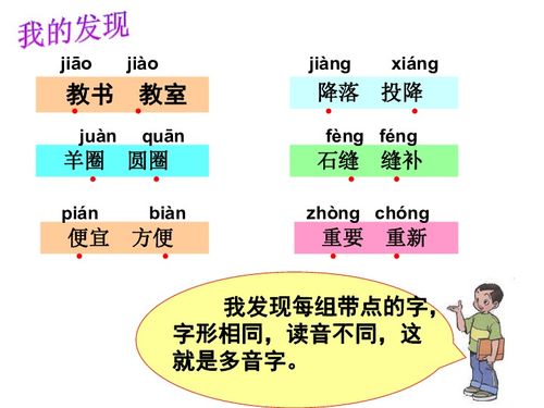 全面解析与选购指南