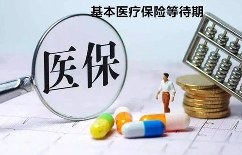 中国医疗保险网，全面了解医疗保障，守护您的健康与未来