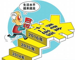 养老金双轨制解析，公平与效率的博弈