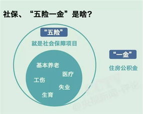 深入解读五险——构建社会保障体系的基石