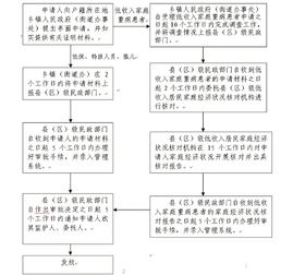 如何撰写一份成功的医疗救助申请书，指南与实例