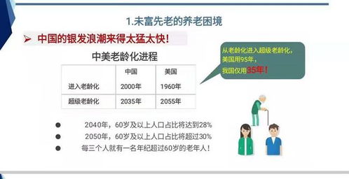 我国养老保险制度的现状与未来展望