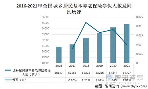 我国养老保险制度的现状与未来展望