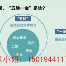 社保与五险一金的区别，全面解析及实用指南