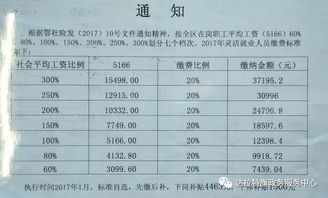 如何补交养老保险，全面指南与实用建议