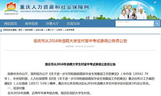 云阳人力资源和社会保障网，构建高效便捷的人力资源服务平台