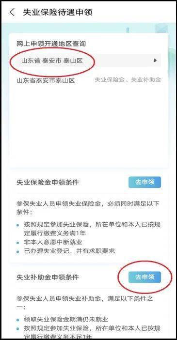 失业补助金网上怎么申请