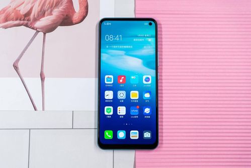 全面解析vivo Y93手机参数，带你了解这款性价比之选