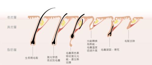 值得入手吗？——如何做出明智的选择