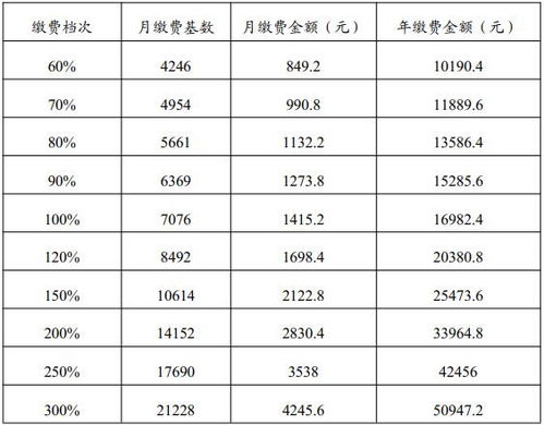 个人如何高效缴纳养老保险，全面指南