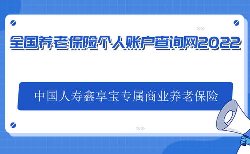 养老保险查询个人账户全解析，保障权益，掌握未来