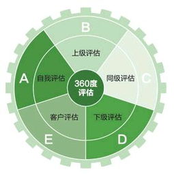 人力资源管理的核心价值与实践应用