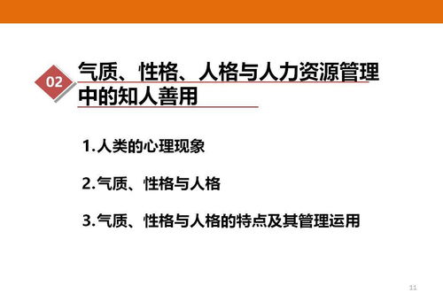 人力资源管理的核心价值与实践应用