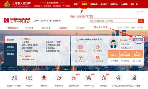 上海社保咨询指南，全方位解读与实用建议