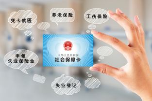 轻松掌握深圳社保个人查询，保障您的权益与福利